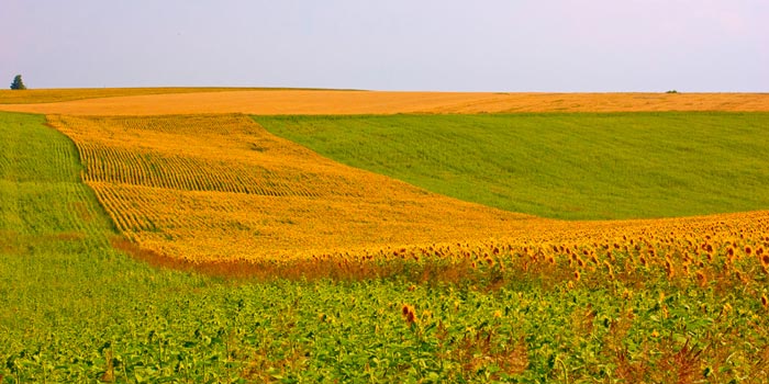 ASOCIAŢIA GRUP DE ACŢIUNE LOCALĂ CONSTANŢA SUD